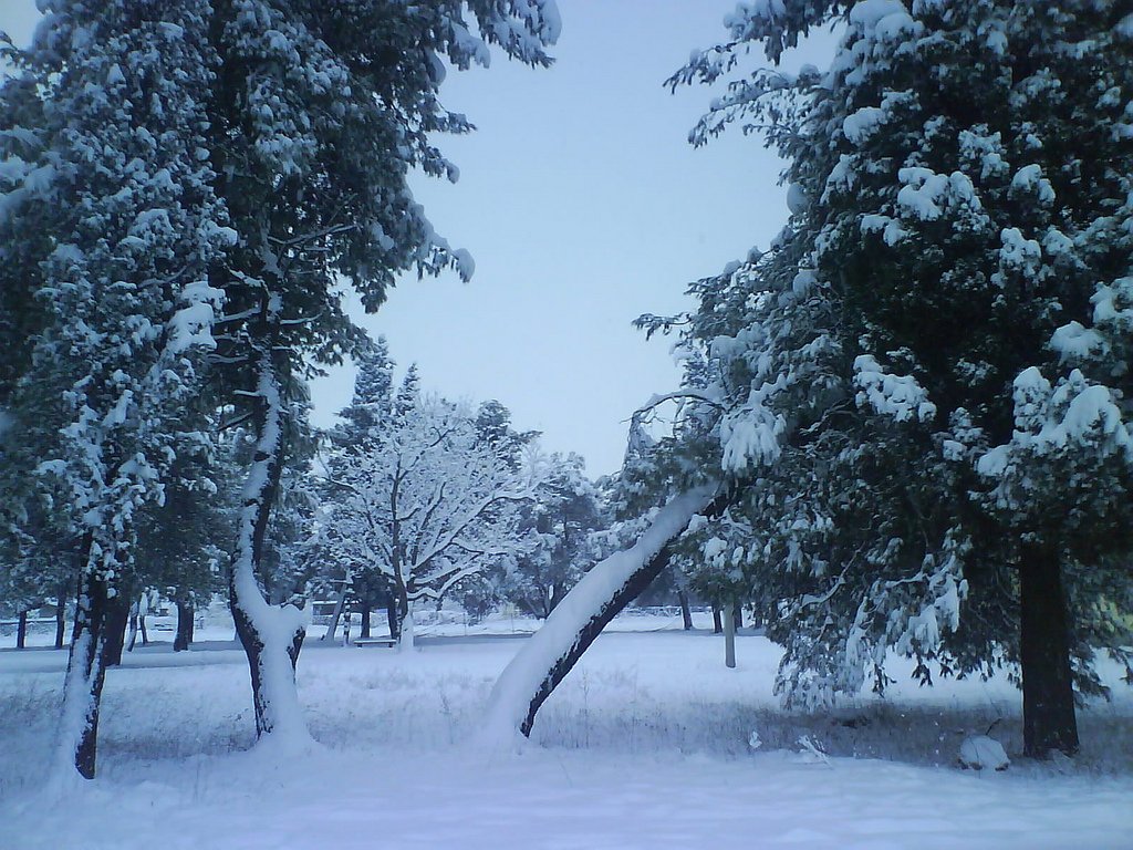 Odvoz zelenog otpada